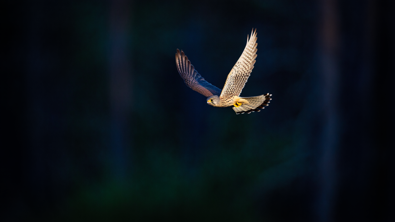 Relume placeholder image 2